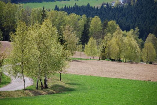 a picture form czech republic