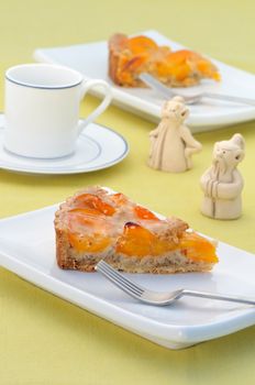 Apricot tart slices on white plate in natural light