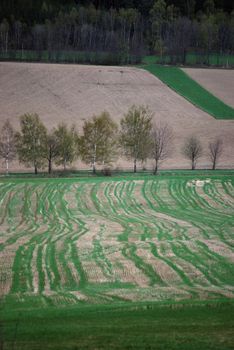 a picture from the czech countryside