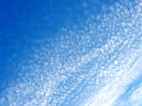 Fluffy cotton like clouds spread across a bright blue sky.