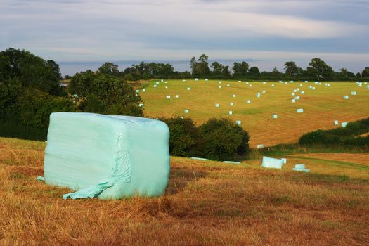 hay bails packed in plastic on english fields