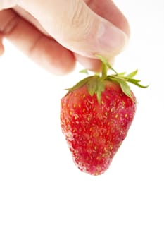 fresh strawberry in hand on a white background