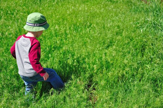 A little boy walks through a field of green grass in the summer in Colorado.