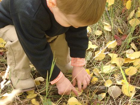 A young boy plays outside in the fall in Colorado.