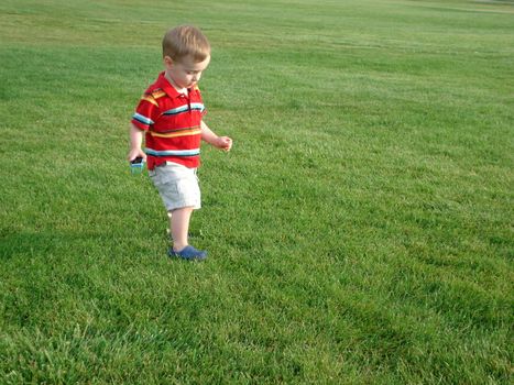 A toddler boy plays outside on the green grass.
