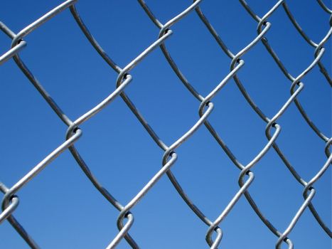 A chain link fence shines in the afternoon sunlight.