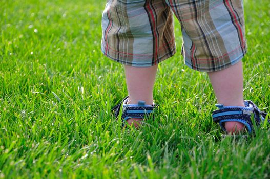 A toddler stands in the green grass on a summer day.