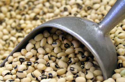 black eyed peas with a scoop

