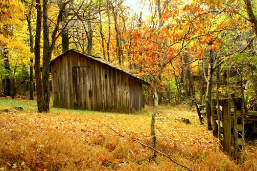 old building in the woods during the fall of the year