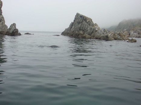 Russia, Primorski Territory, sea of Japan, beach