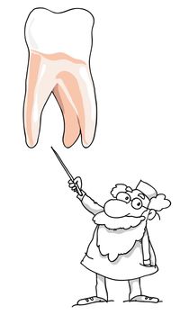 The doctor shows and tells the tooth description