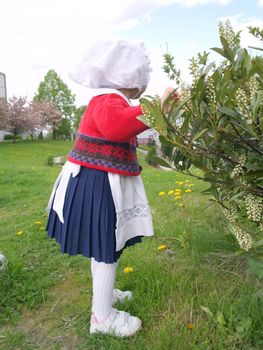 child on norwegian constitution day