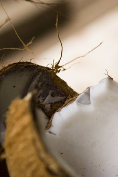 An abstract close-up of an open coconut. 