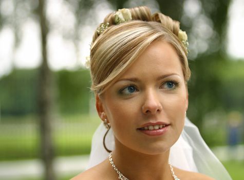 The beautiful bride on a green background