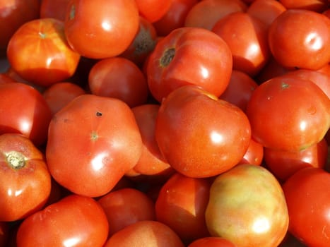 Closeup view of red tomatoes at a farmers market