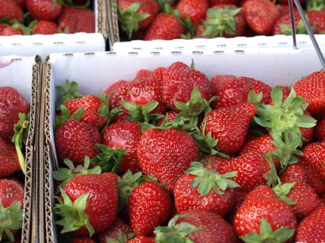 Strawberries for sale at the market in  boxes