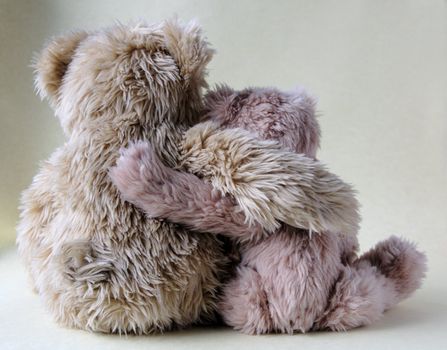 two teddy bears each with an arm around the other