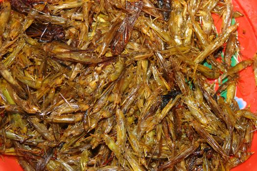 Fried grasshoppers for sale at a market in Thailand