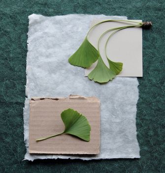 collage of fabric, paper, cardboard and ginkgo leaves