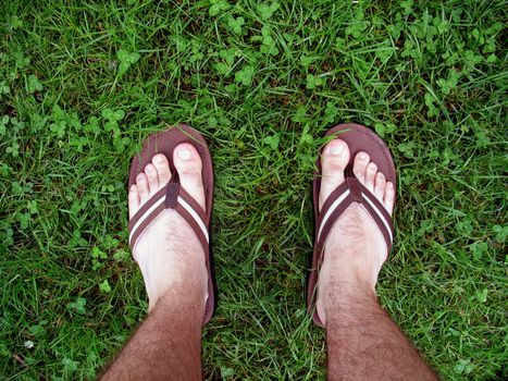 feet with sandals walking through some fresh, green grass