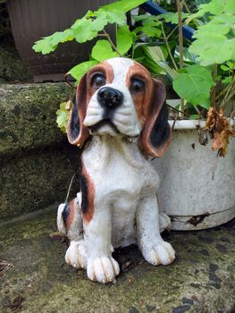 a cute little beagle dog