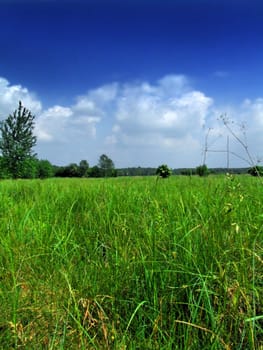 white beautiful clouds and green field