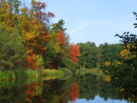 Picturesque autumn landscape of river and bright trees and bushes