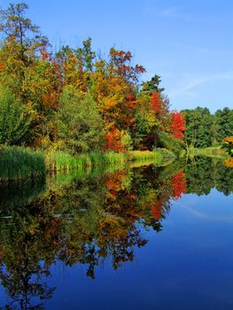 Picturesque autumn landscape of river and bright trees and bushes

