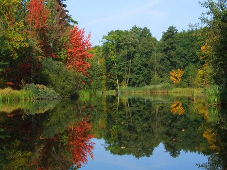 Picturesque autumn landscape of river and bright trees and bushes