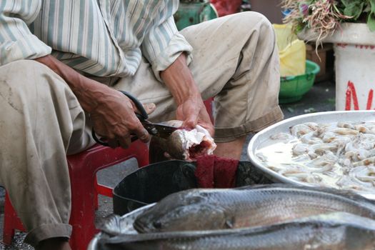 Man cutting the fins of the freshly caught fish