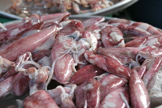 Closeup of freshly caught squid in Chinatown, Saigon