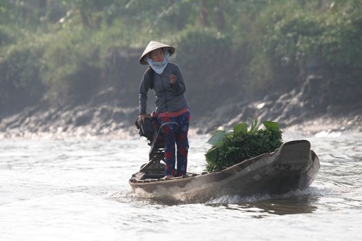 Woman bringing fresh produce to the floating market in the Mekong Delta, Vietnam