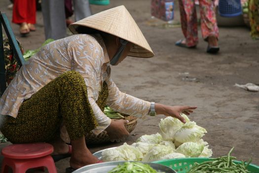Woman putting her vegetables in order at a market in Mekong Delta, Vietnam