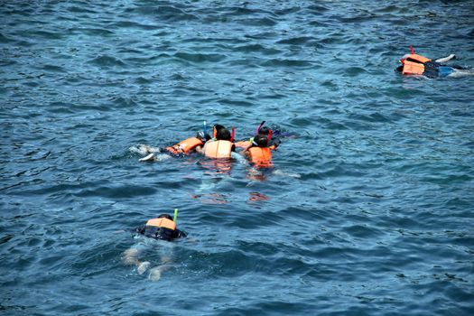 divers watching the marine nature in thailand