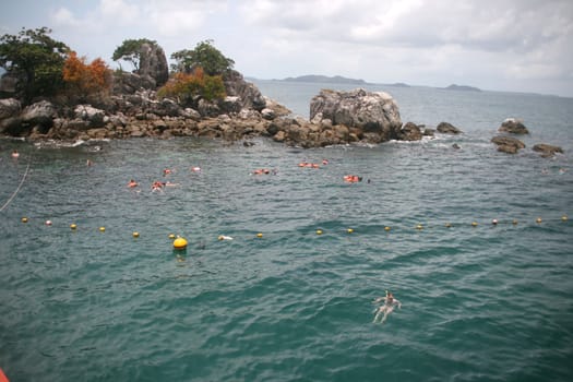 divers watching the marine nature in thailand 