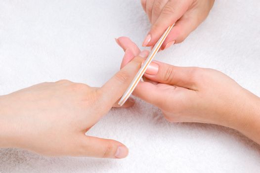 applying manicure - processing nails with emery nail-file