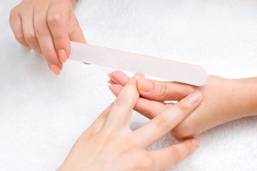 applying manicure - processing nails with emery nail-file