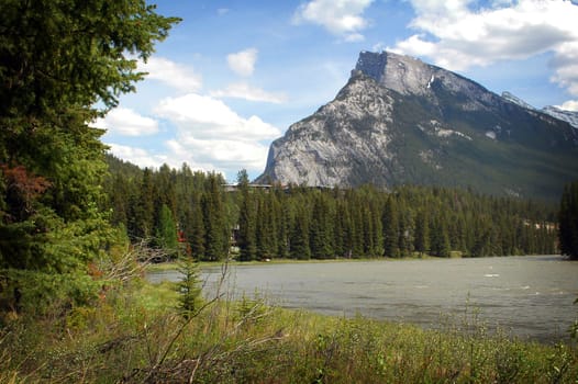 Image of a tree lined river with a mountain in the background and blue skys with clouds.