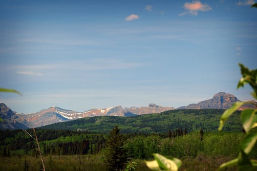 Scene in Banf Alberta showing forest and mountains in the background on a clear blue sky day.