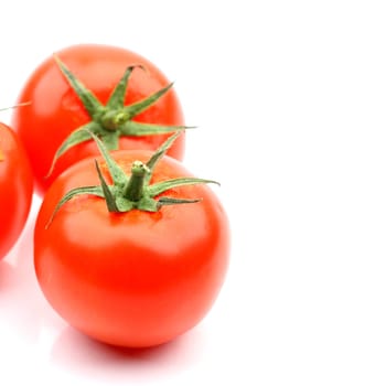 tomatos isolated on white background close up