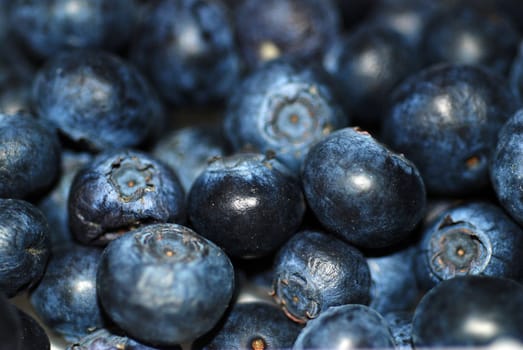 A close up photograph of a punnet of fresh blueberries