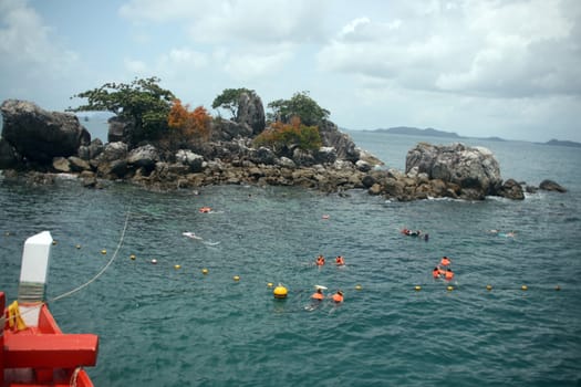 divers watching the marine nature in thailand
