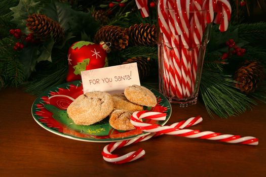 Cookies set out for Santa Claus