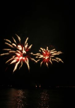 red and white spider-like fireworks by the bay
