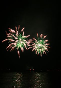 green and white spider-like fireworks by the bay
