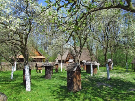 Old wooden hut in village, green grass around