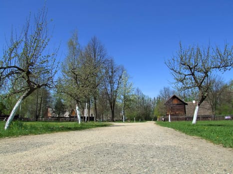 Old wooden hut in village, green grass around