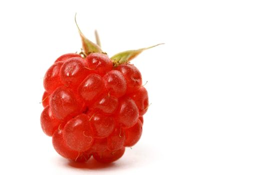 raspberry isolated on white background