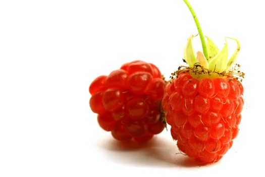 raspberry isolated on white background