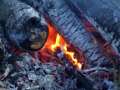 Burning logs in the fireplace